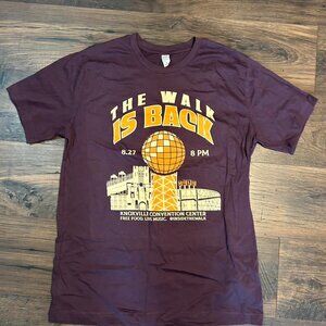 Men's Burgundy and Purple T-shirt